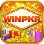 WINPKR GAME APK DOWNLOAD