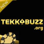 TEKK BUZZ GAME APK